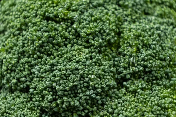 Zengin Ayrıntılı Canlı Yeşil Brokoli Baş Yakın plan