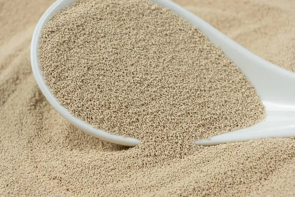 Bir kaşık dolusu Granüler Kuru maya Yakın Çekim.