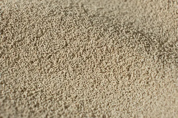 Kuru Etkin Maya 'nın Makro Arkaplanı