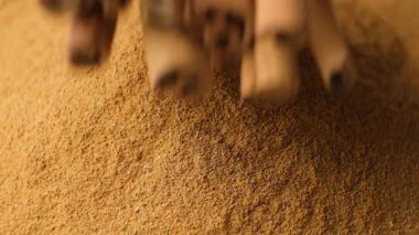 Tarçın çubukları yere düşer tarçın, yavaş çekim makrosu sıçrar