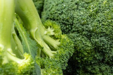 Ayrıntılı Dokuya sahip Taze Yeşil Brokoli 'nin Yakın Görüntüsü