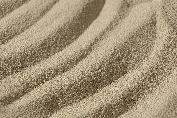 Kuru Etkin Maya 'nın Makro Arkaplanı.