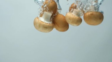 Kahverengi Cremini Bebek Bella Button Suda Mantar, Bir sürü Baloncuk, Yavaş Hareket.