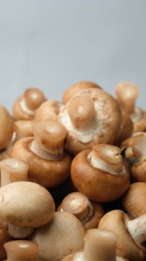Kahverengi şampiyonlar mantarlar Cremini Baby Bella makro yavaş dönüş, dikey video
