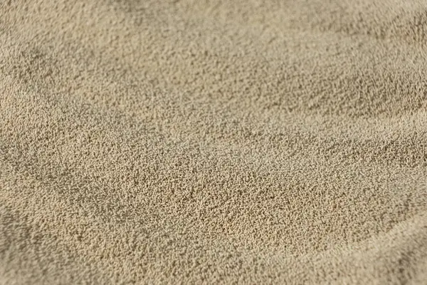 Kuru Etkin Maya 'nın Makro Arkaplanı.