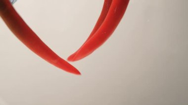 Chili Peppers suya düşüyor Hava kabarcıkları yaratıyor