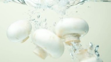 Su Sıçratma Efektine Batmış Düğme Mantarları Macro Vuruşu.