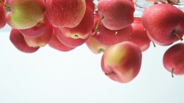 Temiz suda yüzen kırmızı elmalar. Yavaş Hareket Güzelliği.