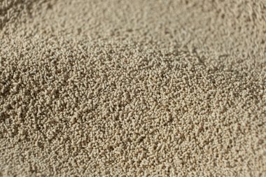 Kuru Etkin Maya 'nın Makro Arkaplanı.