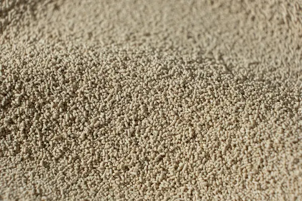 Kuru Etkin Maya 'nın Makro Arkaplanı.