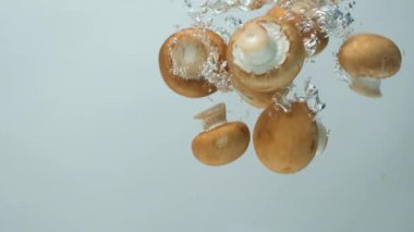 Organik Düğme Mantar Kahverengi Şampiyon Temiz Su Yavaş Hareketine Battı.