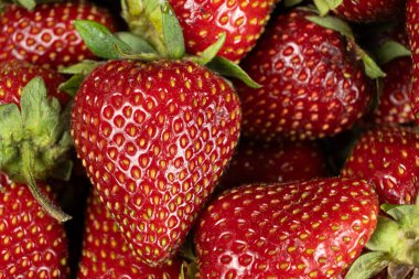 Tohumları görünen olgun çilekler. Taze kırmızı böğürtlen Macro manzarası