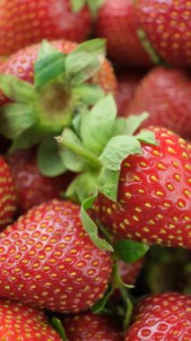 Taze olgun çilekler. Yaz Böğürtlen Dikey Döndürme.
