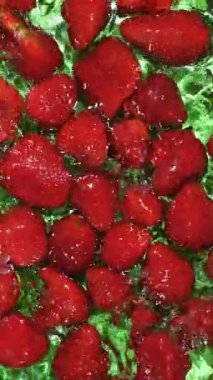 Olgun Çilek Suyu Sıçratıyor. Yaz Berry Dikey Yavaş Hareketi.
