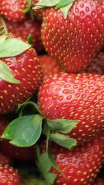 Olgun taze çilek makrosu, temiz tahıllar, dikey meyve arkaplanı..