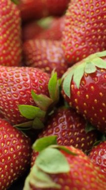 Taze olgun çilekler. Yaz Böğürtlen Dikey Döndürme.