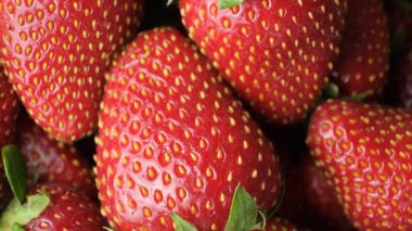 Bir sürü taze çilek manzaralı. Organik dut dokusu arkaplanı