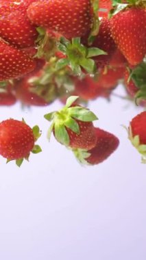 Sulu Çilek Suya Düştü. Kabarcıklar ve Sıçrama, Dikey Yavaş Hareket.