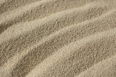 Kuru Etkin Maya 'nın Ayrıntılı Arkaplanı