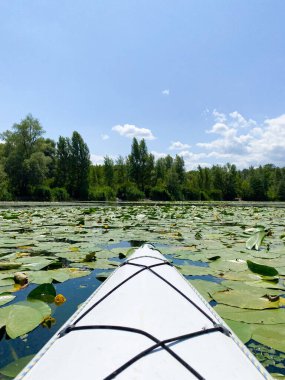 Nehirde kano, Avrupa 'nın vahşi doğası, sakin su, doğayla birlik..