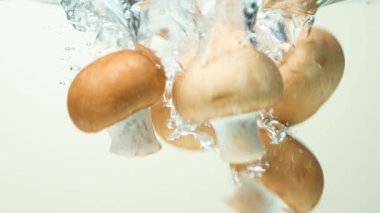 Hava kabarcıklarıyla suya batırılmış organik kahverengi mantarlar.