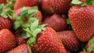 Sulu Çilekler. Yakın plan. Canlı Kırmızı Böğürtlen Dokusu Yavaş Döndürme.