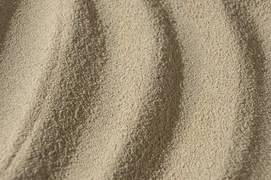 Kuru Etkin Maya 'nın Makro Arkaplanı.