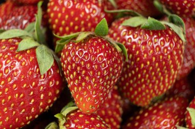 Taze olgun çilekler. Yaz Böğürtlen Arkaplanı.