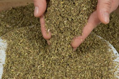 Kurumuş doğal kekik ellerden dökülüyor, yakın plan..