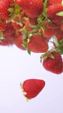 Sulu Çilek Suya Düştü. Kabarcıklar ve Sıçrama, Dikey Yavaş Hareket.