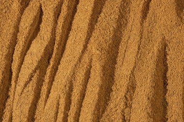 Zemin Tarçın 'ın dokusu. Doğal Mutfak Arkaplan Üst Görünümü.