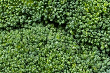 Zengin Ayrıntılı Canlı Yeşil Brokoli Baş Yakın plan