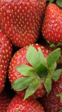 Taze olgun çilekler. Yaz Böğürtlen Dikey Döndürme.