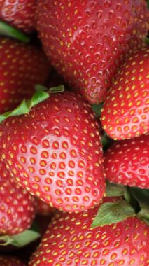 Olgun taze çilek makrosu, temiz tahıllar, dikey meyve arkaplanı..