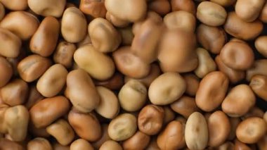 Kurutulmuş çiğ çiğ Victoria Faba fasulyeleri yavaş çekimde dökülüyor..
