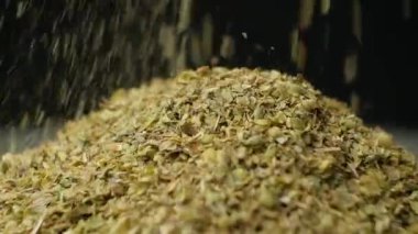 Oregano Doğal Baharatı Yığın Macro Yavaş Hareketine Dökülüyor