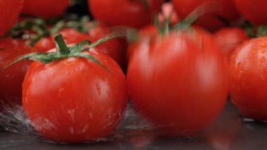 Taze Olgun Domates Yavaş Suyla Suya Düşüyor.