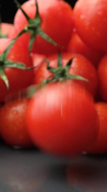 Taze olgun domates yavaş çekimde düşüyor, suyu dikey sıçratıyor.