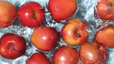 Sulu yaz ya da sonbahar arkaplanı. Kırmızı elmalar suda ağır çekimde.