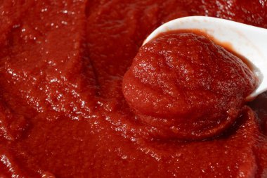 Kaşık üzerindeki domates ezmesi. Sos için Taze Doğal Lezzet