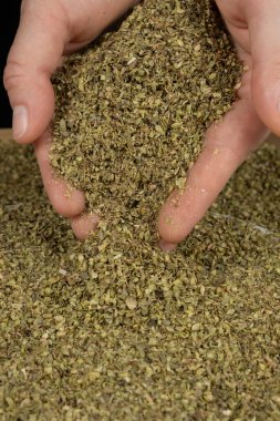 Kurumuş doğal kekik ellerden dökülüyor, yakın plan..