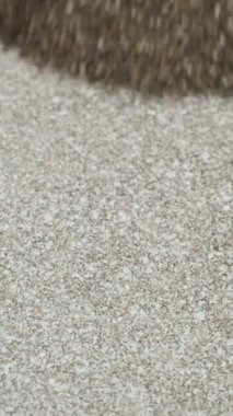 Chia tohumu dağılıyor, makro yavaş çekim dikey çekim