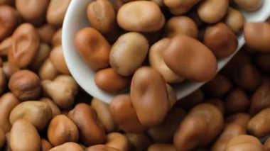 Kaşıkta kurumuş vicia faba fasülyeleri yavaş çekim makrosu döker..