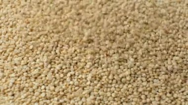 Pişmemiş Beyaz kinoa Yavaş Çekim