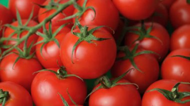 Sarmaşıkta Kokteyl Domatesleri.