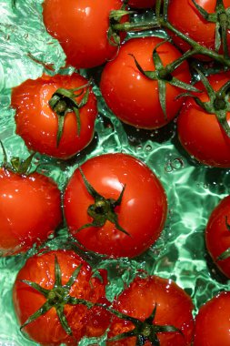 Dramatik Su Sıçratmada Domatesler Sarmaşıkta.