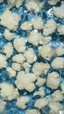 Taze Karnabahar Çiçekleri Su Sıçratma Etkisi Yavaş Hareket