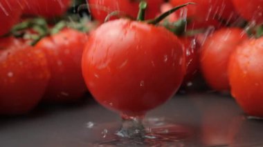 Taze olgun domates yavaş çekimde düşüyor, su sıçrıyor.
