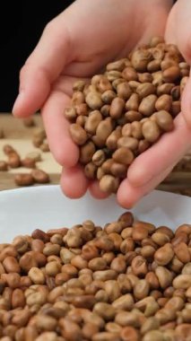 Elleri çiğ vicia faba fasulyesi döküyor. dikey ağır çekim.