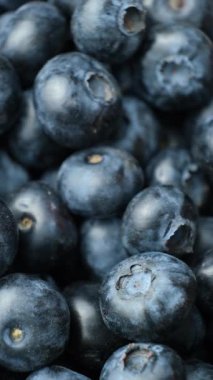 Organik Yabanmersini Macro Manzarası. Doğal Berry Arkaplanı